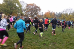 IMG-20181112-WA0003