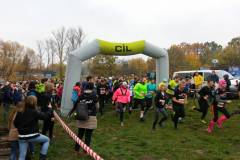 IMG-20181112-WA0007